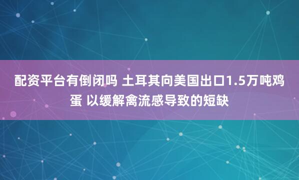 配资平台有倒闭吗 土耳其向美国出口1.5万吨鸡蛋 以缓解禽流感导致的短缺