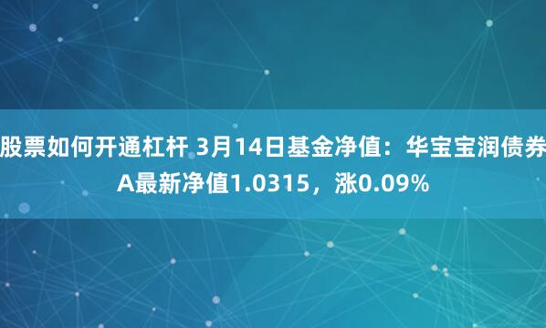 股票如何开通杠杆 3月14日基金净值：华宝宝润债券A最新净值1.0315，涨0.09%